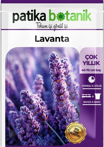 100 Adet Lavanta (Lavandula) Çiçek Tohumu