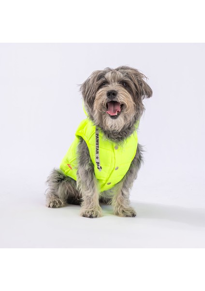 Neon Sarı Railway Anorak Yelek Köpek Yeleği Köpek Kıyafeti Köpek Yağmurluk