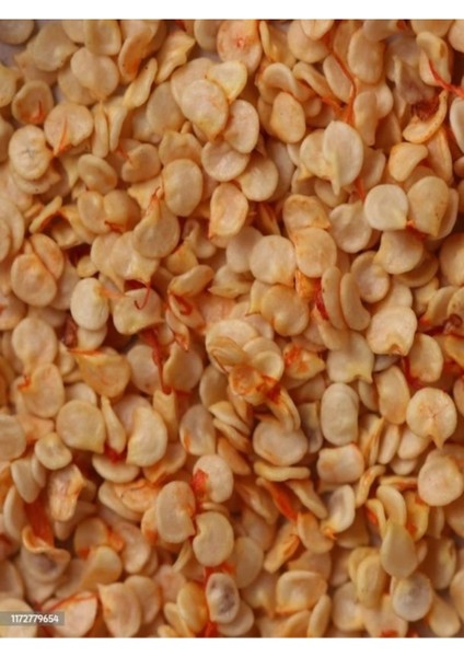 Maraş Acı Biber Tohumu 1000 gr fiyatları