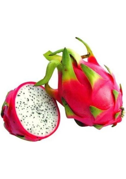 Bodur Pitaya Ağacı Tohumu Beyaz Pitaya Ağacı Tohumu Cüce Pitaya 10 Adet Tohum modelleri