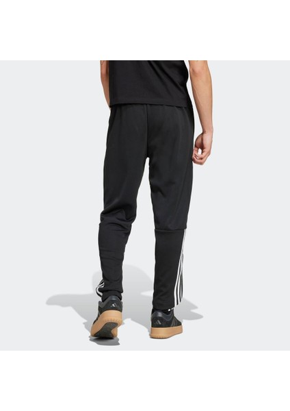 Sereno Erkek Eşofman Altı fiyatları