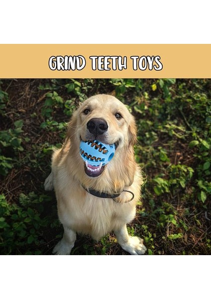 Mama Hazneli Köpek Eğitim ve Oyun Topu modelleri