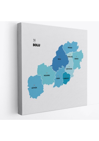 Dekoratif Kanvas Tablo Duvar Dekoru Il ve Ilçeler Haritası Bolu Modern 1302 Bungknv