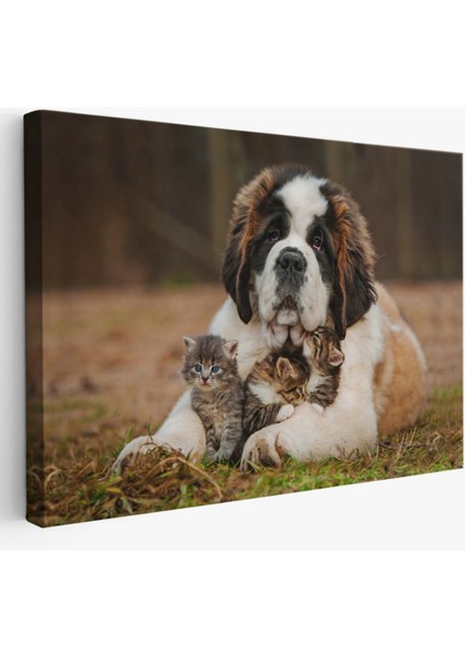 Dekoratif Kanvas Tablo, Duvar Dekoru, Yavru Kediler ve St Bernard Köpek, Hayvan Temalı 1124 BUNGKNV