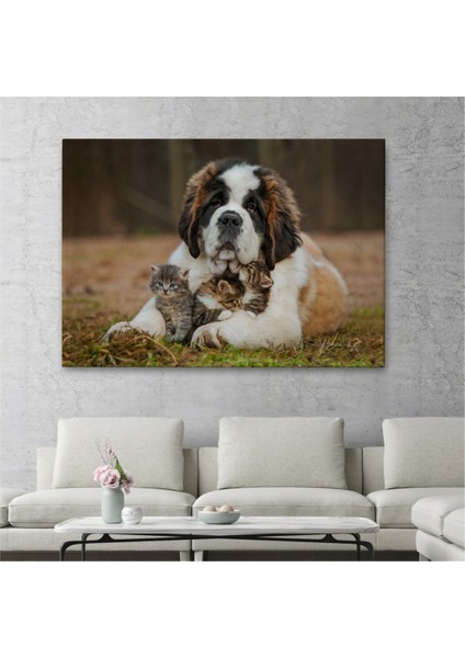Dekoratif Kanvas Tablo, Duvar Dekoru, Yavru Kediler ve St Bernard Köpek, Hayvan Temalı 1124 BUNGKNV