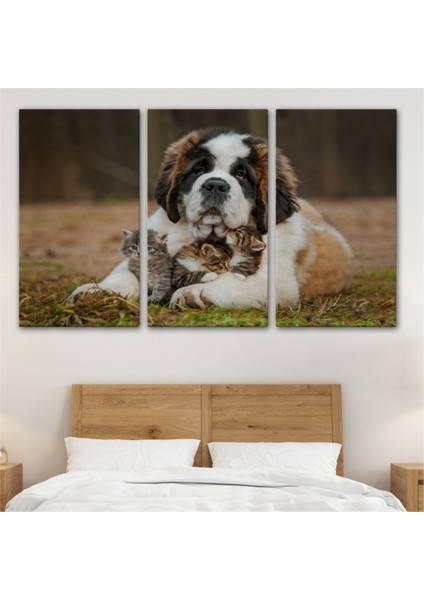 Dekoratif Kanvas Tablo, Duvar Dekoru, Yavru Kediler ve St Bernard Köpek, Hayvan Temalı 1124 BUNGKNV
