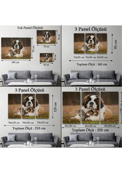 Dekoratif Kanvas Tablo, Duvar Dekoru, Yavru Kediler ve St Bernard Köpek, Hayvan Temalı 1124 BUNGKNV