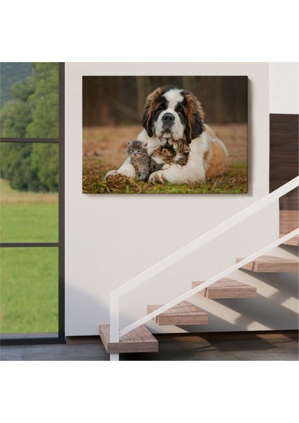 Dekoratif Kanvas Tablo, Duvar Dekoru, Yavru Kediler ve St Bernard Köpek, Hayvan Temalı 1124 BUNGKNV