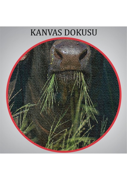 Dekoratif Kanvas Tablo Duvar Dekoru Asya Mandası 6511 Bungknv