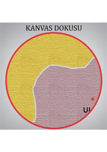 Dekoratif Kanvas Tablo Duvar Dekoru Il ve Ilçeler Haritası Bartın Modern 1283 Bungknv