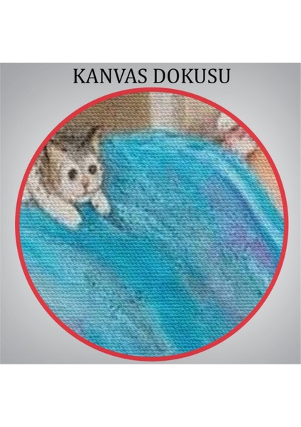 Kanvas Duvar Dekoru Kedi Sever Yaşlı Kadın Mutluluğun Resmi Dianne Denge Tablo 6383 Bungknv