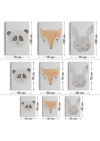 Dekoratif Kanvas Tablo Duvar Dekoru Sevimli Hayvanlar Temalı 3'lü Set Bü47 Bungknv