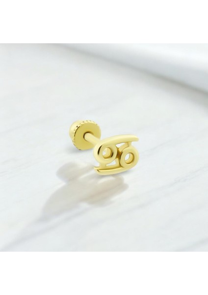 Altın Yengeç Burcu Helix Piercing