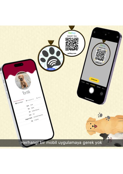 Köpekler Için Akıllı Künye Nfc Akıllı Künye Qr Kod Künye Mavi