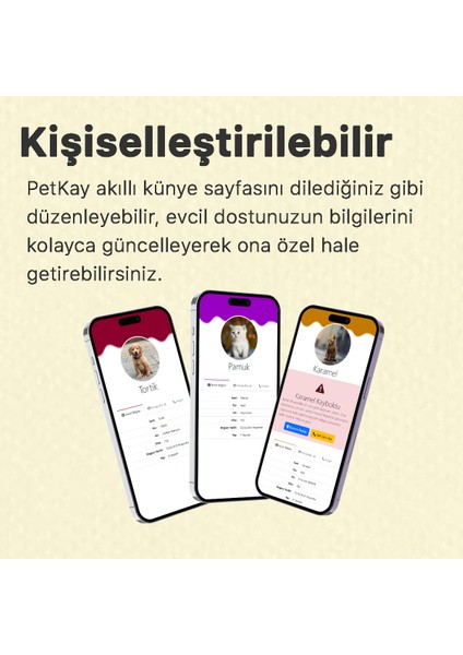 Köpekler Için Akıllı Künye Nfc Akıllı Künye Qr Kod Künye Mavi