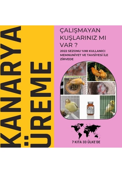 Kanarya Üreme Mix 50 gr