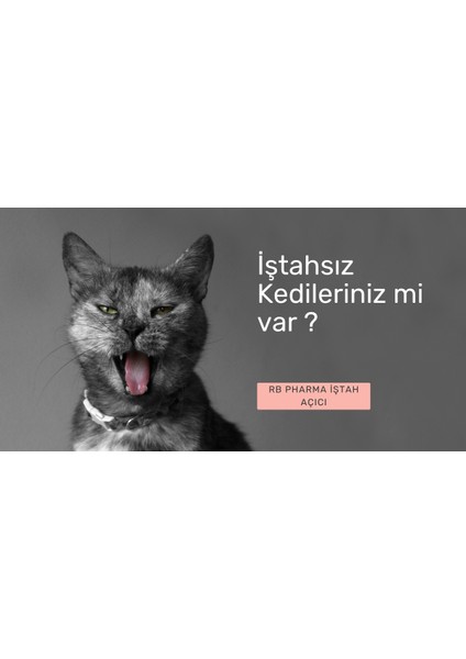 Cat Kedilerimiz Için Ishal Kesici ve Karaciğer Koruyucu