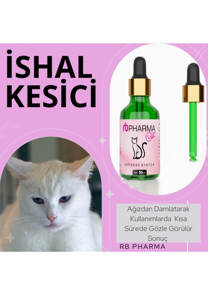 Cat Kedilerimiz Için Ishal Kesici ve Karaciğer Koruyucu