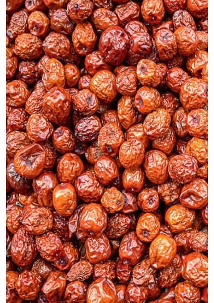 Aşılı Hünnap Fidanı 3 Yaş