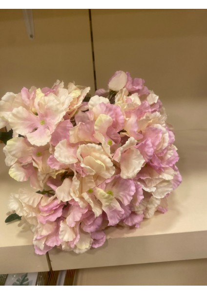 Ortanca Demeti Çoklu Açık Pembe fiyatları