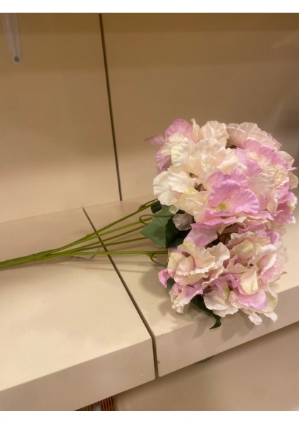 Ortanca Demeti Çoklu Açık Pembe modelleri