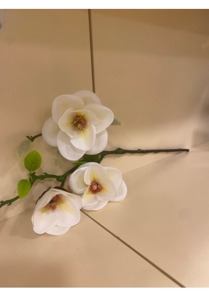 Manolya Tek Dal Çiçek