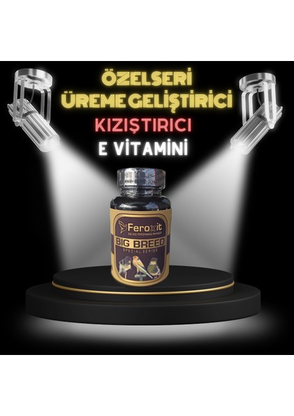 Büyük Irk Kanarya Için Üreme ve Yumurta Arttırıcı Mix ( Feroxit Big Breed Special Seri )