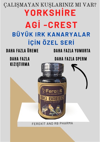 Büyük Irk Kanarya Için Üreme ve Yumurta Arttırıcı Mix ( Feroxit Big Breed Special Seri )