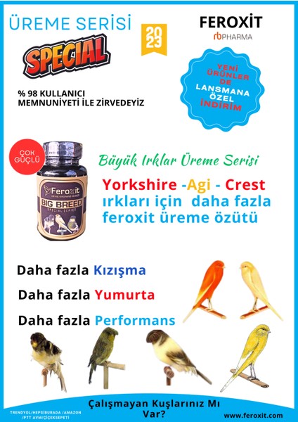 Büyük Irk Kanaryalar Için Üreme , Kızıştırıcı ve Yumurta Arttırıcı Big Breed Special Series 300 gr