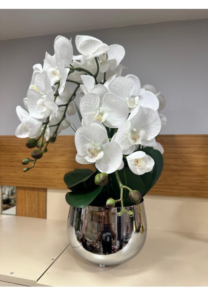 Orkide Ithal Islak Arajman Pirınç Gümüş Saksı Küçükboy