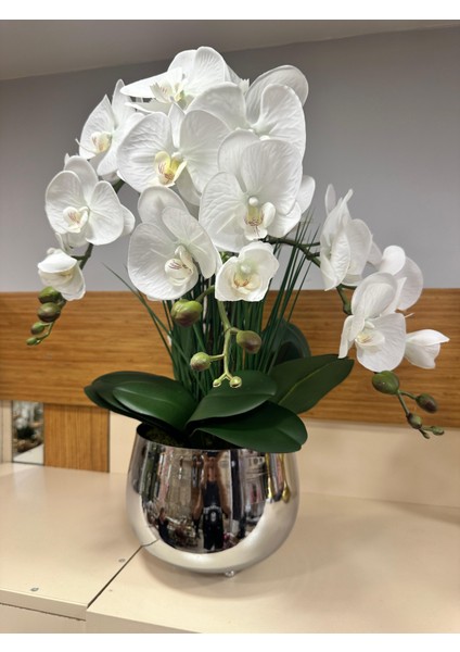 Orkide Ithal Islak Arajman Pirınç Gümüş Saksı Küçükboy fiyatları