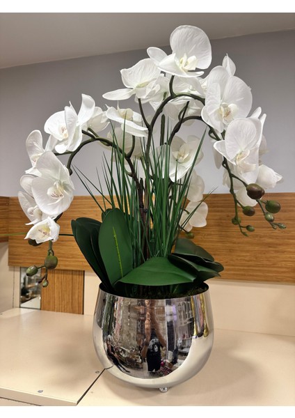 Orkide Ithal Islak Arajman Pirınç Gümüş Saksı Küçükboy modelleri