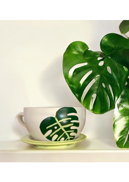 Devetabanı El Yapımı Beton Büyük Fincan Saksı