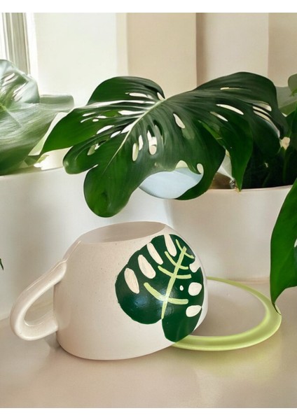 Devetabanı El Yapımı Beton Büyük Fincan Saksı fırsatları