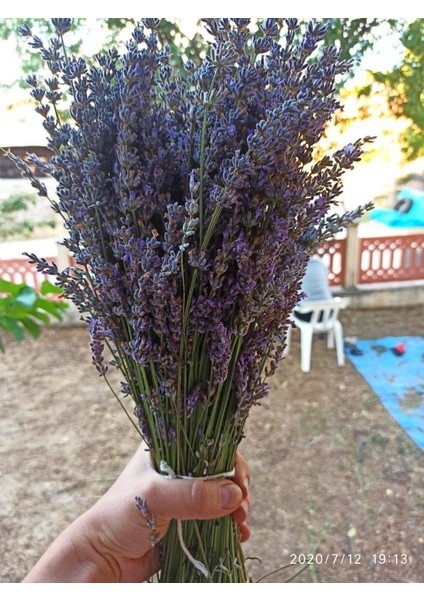Kurutulmuş Lavanta Demeti 40-50 cm 3 Adet