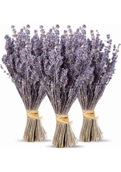 Kurutulmuş Lavanta Demeti 40-50 cm 3 Adet modelleri