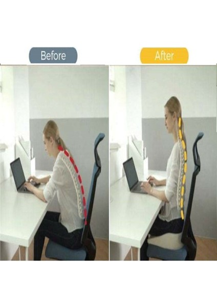 1+1 Anatomik Büyük Bel Sırt Yastığı ve Dik Duruş Minderi