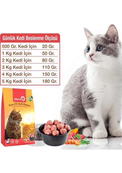 Çiğmamam Barf Kedi için Kuzulu Köfte 7 Kg 7 Adet 1000Gr