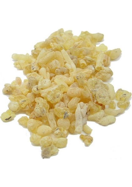 50 gr - Doğal Sandoloz Sakızı - Doğal Sandaloz Sakızı fiyatları