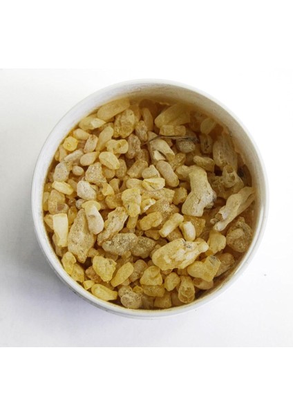 50 gr - Doğal Sandoloz Sakızı - Doğal Sandaloz Sakızı modelleri