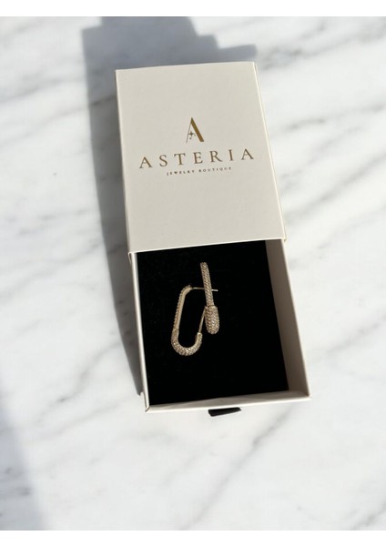 Asteria Jewelry Gold Taşlı Çengel Küpe