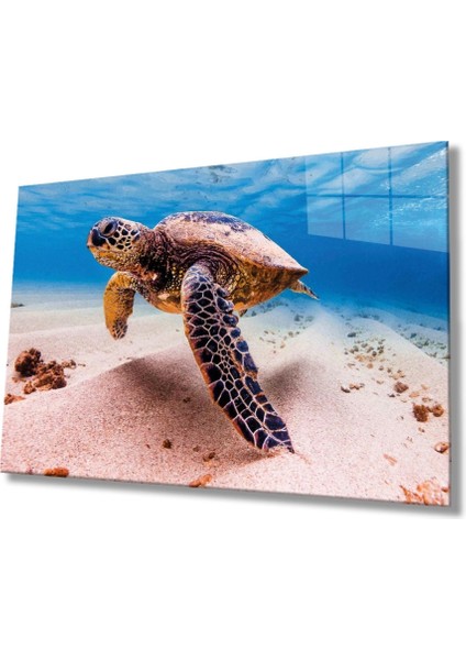 Teknoo- Deniz Kaplumbağası Hayvan Portresi Cam Tablo,