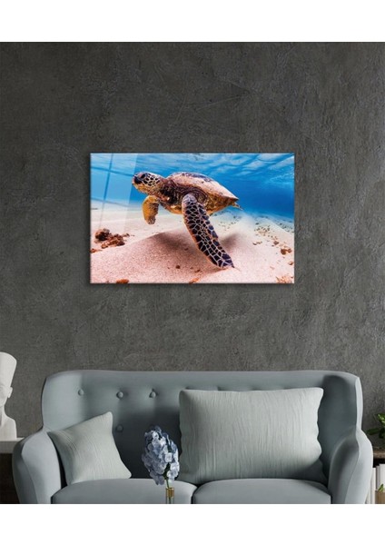 Teknoo- Deniz Kaplumbağası Hayvan Portresi Cam Tablo, modelleri
