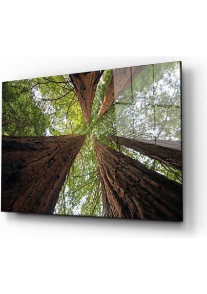 Teknoo- Doğa Manzara Cam Tablo 4mm Dayanıklı Temperli Cam