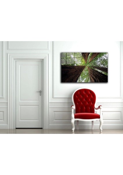 Teknoo- Doğa Manzara Cam Tablo 4mm Dayanıklı Temperli Cam fiyatları