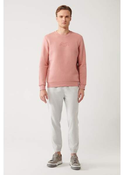 Erkek Pembe Sweatshirt Bisiklet Yaka 3 Iplik Şardonlu Flok Baskılı Regular Fit A32y1273