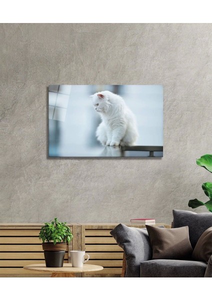 Teknoo- Beyaz Kedi Cam Tablo fiyatları