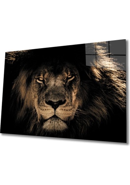 Teknoo- Aslan 14 Cam Tablo