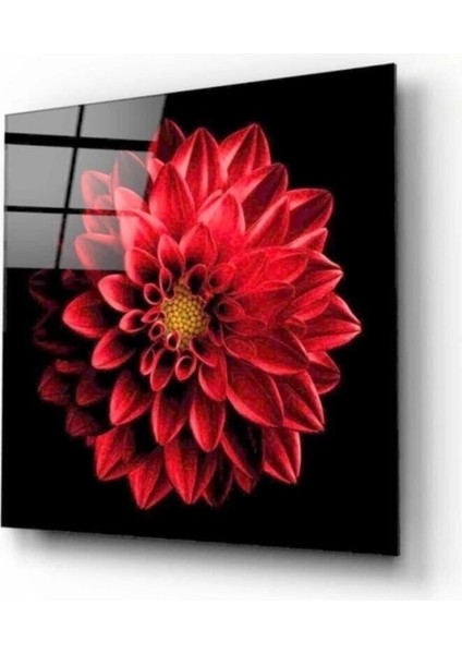 Teknoo- Çiçek Cam Tablo