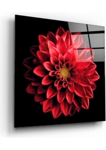 Teknoo- Çiçek Cam Tablo modelleri